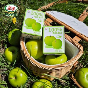 牵手100%青苹果汁果蔬汁解腻聚餐搭档 200ml*7盒-MS