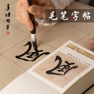善琏湖笔毛笔字帖初学者行书临摹楷书自学王羲之隶书字帖颜真卿多宝塔碑曹全碑套装 笔画字卡书法专用练字帖