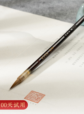 善琏湖笔小楷毛笔狼毫兼毫羊毫湖笔初学者专用瘦金体勾线笔软笔高档书法精品行书毛笔字小楷笔字帖楷书高端