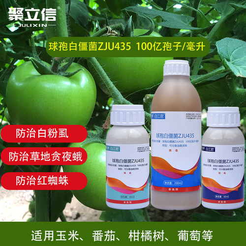 聚立信白僵菌100亿白粉虱红蜘蛛