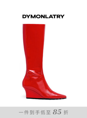 DYMONLATRY 2025新款高筒女靴 小方头时尚坡跟高筒靴