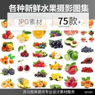 高清新鲜水果蓝莓葡萄橙子橘子草莓桃萍果矢量西瓜柠檬摆拍白底图