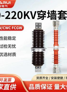 CWC-CWW20KV-35KV/2500-4000A户外电站高压穿墙套管10KV铜棒陶瓷