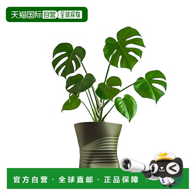 jonathan yBrent MidCentury 现代室内压碎罐环保 3D 打印花盆带