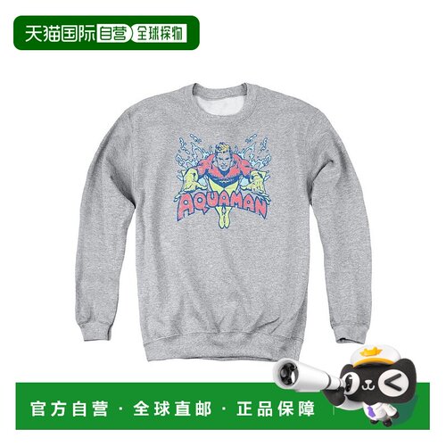 自营 gildanDC Comics Splish Splash 成人圆领运动衫 - 运动混色