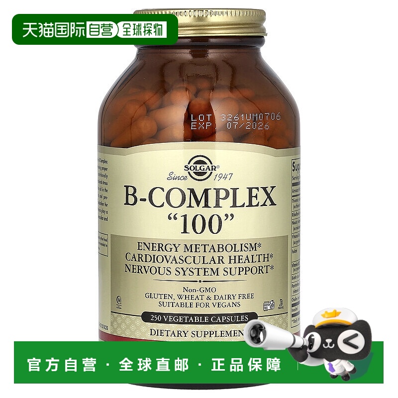香港直发Solgar加班熬夜常备维生素B素食胶囊250粒