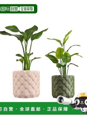 jonathan ySyrie 现代波西米亚室内海浪环保 3D 印花花盆带排水 -