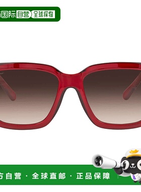 自营Salvatore Ferragamo Grey Rectangular Ladies Sunglasses S