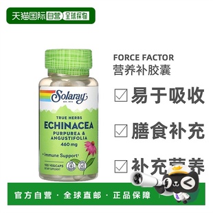 香港直发Solaray真实草本素食胶囊紫锥菊紫瓶子草狭叶荨麻100粒