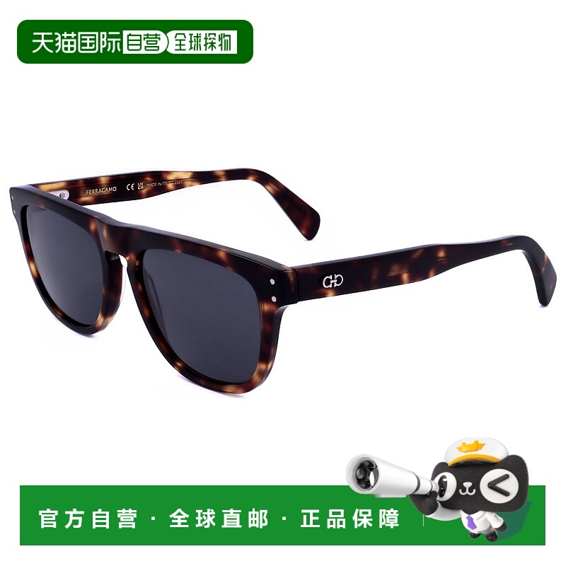 自营salvatore ferragamo菲拉格慕男士55毫米深色乌龟太阳镜-深色