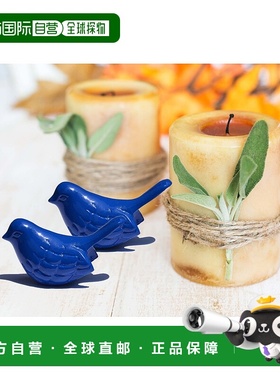 自营 Vibhsa Bluebird of Happiness 家居装饰口音 2 件套 - 蓝色