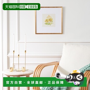 自营 Safavieh 夏日愿望裱框壁画 - 黄色/春绿色 美国奥莱直发