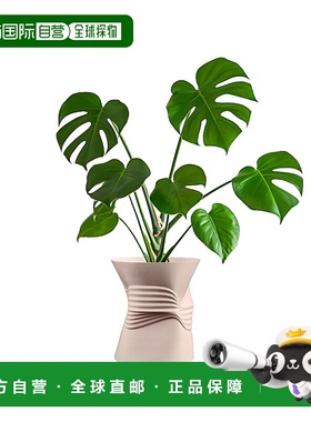 jonathan yBrent MidCentury 现代室内压碎罐环保 3D 打印花盆带