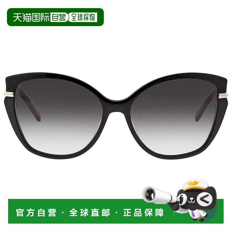 自营Longchamp Grey Gradient Cat Eye Ladies Sunglasses LO627S