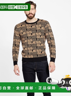 自营guessPaco Logo Sweater - toasted taupe 美国奥莱直发毛衣