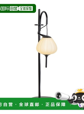 自营 vonnLecce VAT6221BL 20 英寸高度集成 LED 台灯带黑色泪珠