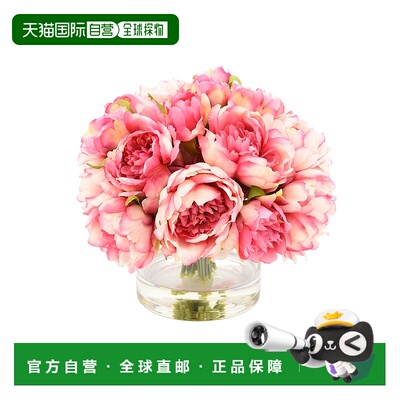 自营 creative displays创意展示粉色牡丹插花-粉色、绿色 美国奥