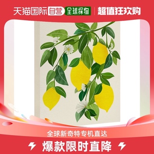 Lemons Summer Tropical deny Fruit designsModern Art