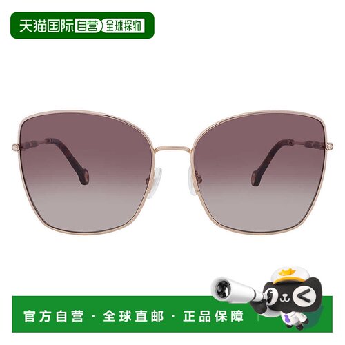 自营Carolina Herrera Brown Gradient Butterfly Ladies Sunglas