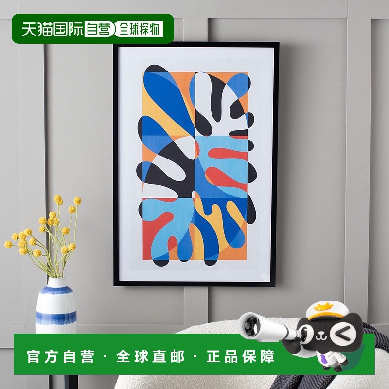 自营 Safavieh Spunky Splat 裱框壁画 - 多色 美国奥莱直发