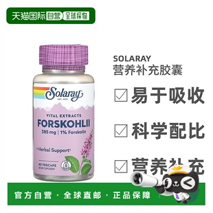 香港直发Solaray毛喉鞘蕊花素食胶囊易吸收营养补充草本提取60粒