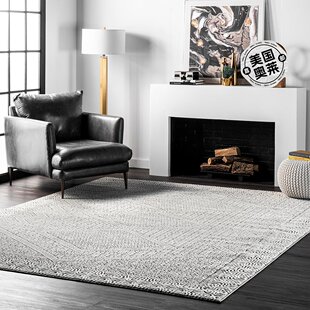 nuLOOM Vintage Exie Area Rug - light gray 【美国奥莱】直发