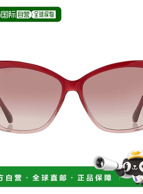 自营Jimmy Choo Burgundy Gradient Cat Eye Ladies Sunglasses S