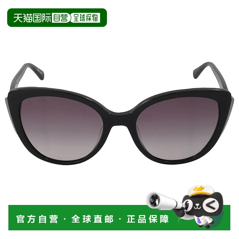 自营Longchamp Grey Gradient Cat Eye Ladies Sunglasses LO670S