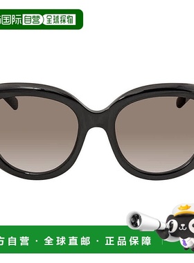 自营Salvatore Ferragamo Gradient Smoke Oval Ladies Sunglasse