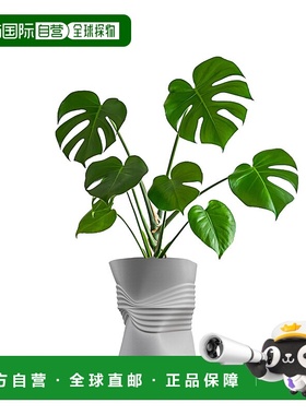 jonathan yBrent MidCentury 现代室内压碎罐环保 3D 打印花盆带