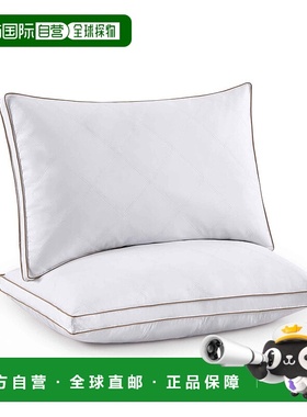 自营 puredownPURE DOWN Peace Nest 2PCS 5% 灰色鹅绒羽绒枕头扣