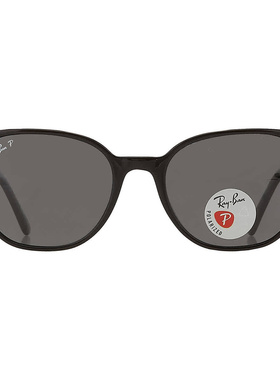 自营ray-banRay Ban Elliot Polarized Black Square Unisex Sung
