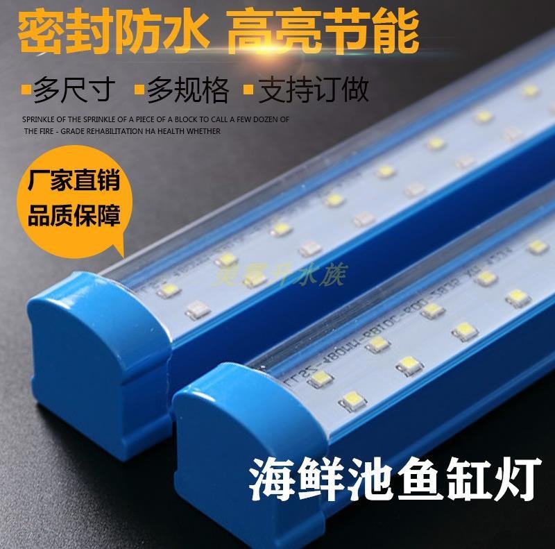 海鲜池专用led灯 防水海鲜池鱼缸灯220V-12V照明led灯养鱼通用|msdalam kategori haiwan peliharaan/makanan haiwan dan bekalan, Aquarium World, tangki ikan akuarium dan kelengkapan lain, peralatan lampu - dari Buy2taobao.com untuk memberikan perkhidmatan ejen Taobao profesional membeli