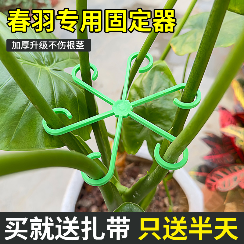 六角设计更稳定春雨专用固定器