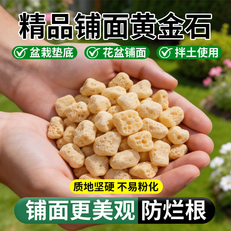 黄金石多肉颗粒土铺面兰花