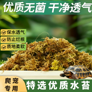 爬宠垫材苔藓保湿乌龟冬眠青苔过冬用品椰土砖草龟巴西龟过冬小窝