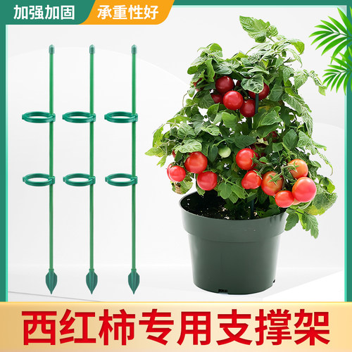 西红柿支撑杆花支撑架植物防倒伏