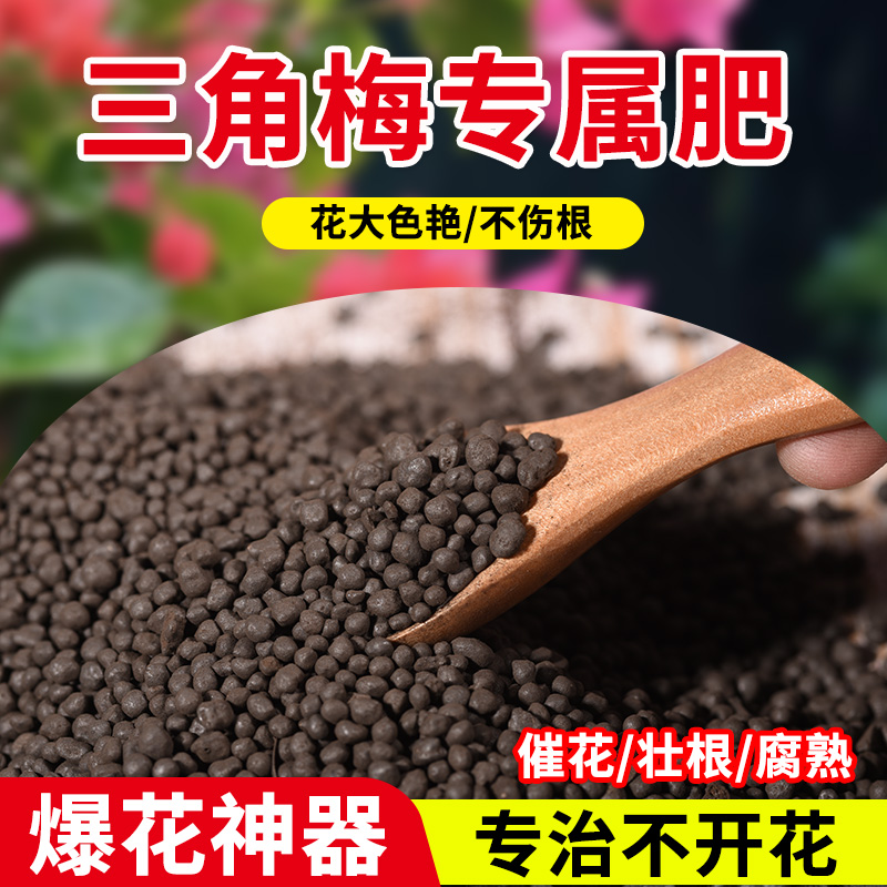 醉花三角梅四季开花爆花专用颗粒肥专为三角梅生长周期设计缓释肥