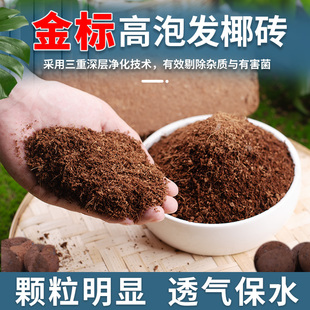 椰砖营养土通用型耶砖椰糠椰土批发养花种菜脱盐花土压缩基质多肉