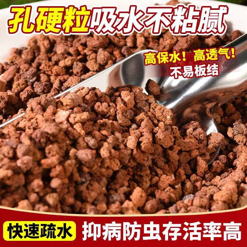 火烧土多肉兰花专用君子兰蝴蝶兰盆栽铺面拌土疏松透气红土颗粒