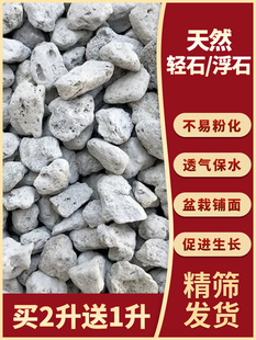 轻石颗粒浮石钵底石兰石媲美日向石多肉兰花铺面垫底水族滤材整包