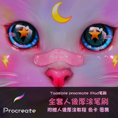 Procreate笔刷人像厚涂全套笔刷发型化妆皮肤肌理ipad绘画附色卡
