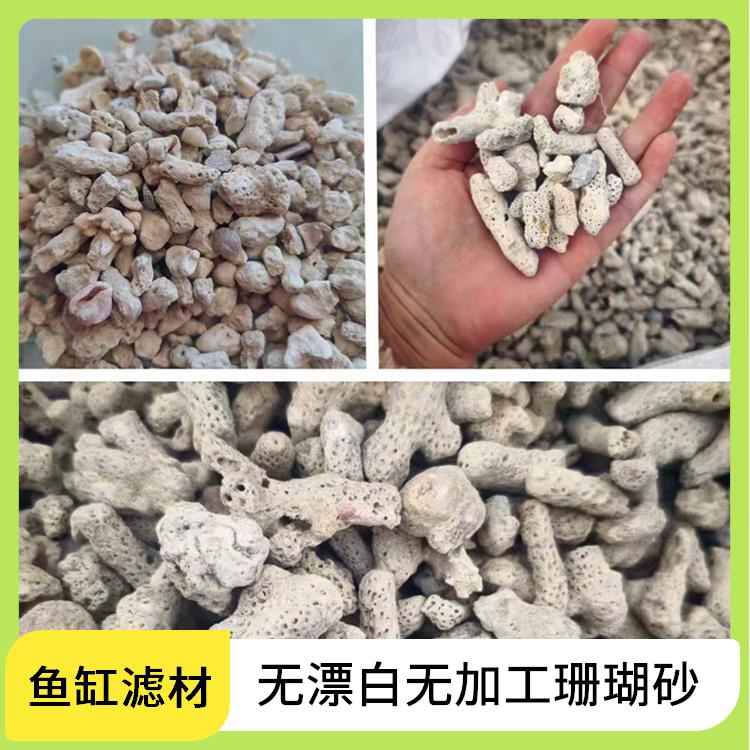 天然珊瑚骨滤材鱼缸珊瑚砂造景底砂鱼池过滤珊瑚石养鱼海鲜池净化