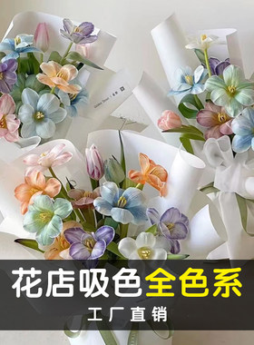 鲜花染色剂吸色剂马卡龙