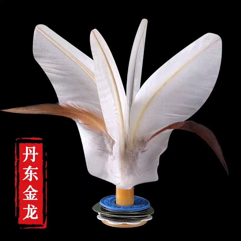 丹东金龙毽子运动比赛专用成人健身儿童小学生幼儿园耐踢鸡毛毽球