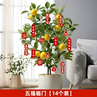 Пять благословений [набор из 14 шт.] При заказе в комплект входит бесплатный ремешок.