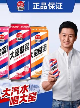 大窑汽水500ml*20罐整箱碳酸饮料大窑嘉宾橙诺荔爱听装怀旧汽水