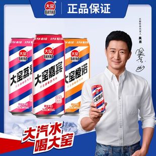 大窑汽水500ml*20罐整箱碳酸饮料大窑嘉宾橙诺荔爱听装怀旧汽水