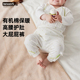 恒温长裤 宝宝四季 幻曦婴儿打底裤 有机棉大屁屁裤 多件多折