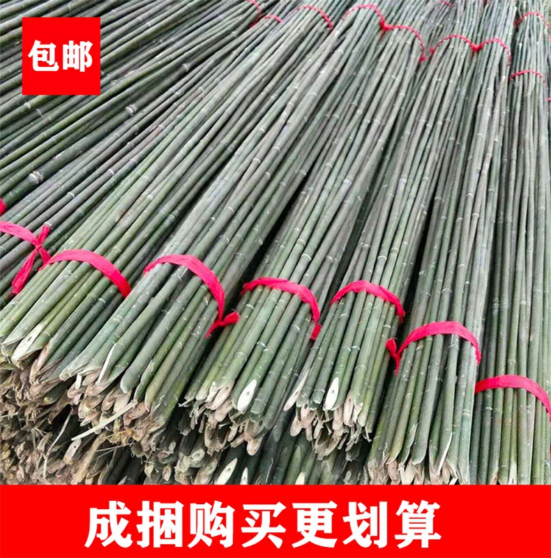 竹竿批发装饰潢粗楠竹子防腐菜园搭架篱笆珊栏彩旗细竹杆跳舞